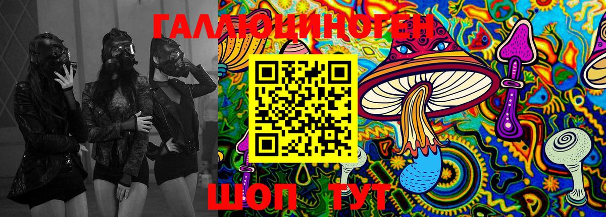 Псилоцибиновые грибы Psilocybe Малоярославец