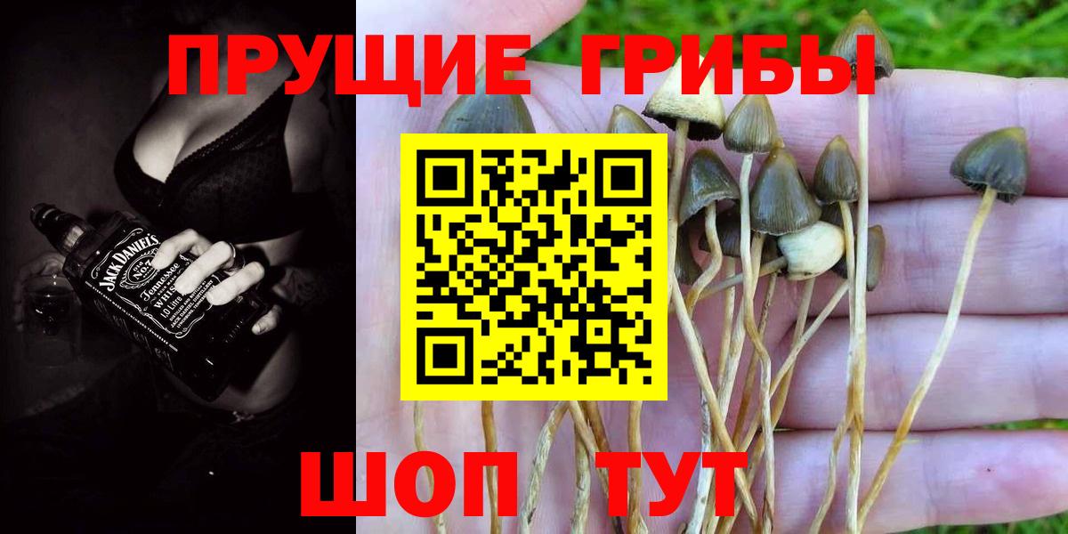Псилоцибиновые грибы мицелий  Вход с VPN  Малоярославец 